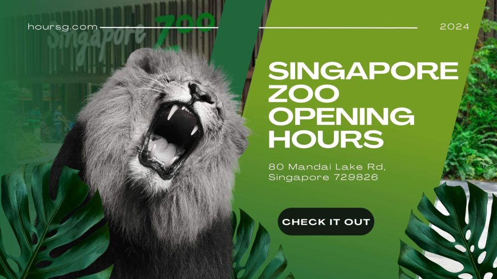 Singapore Zoo Opening Hours